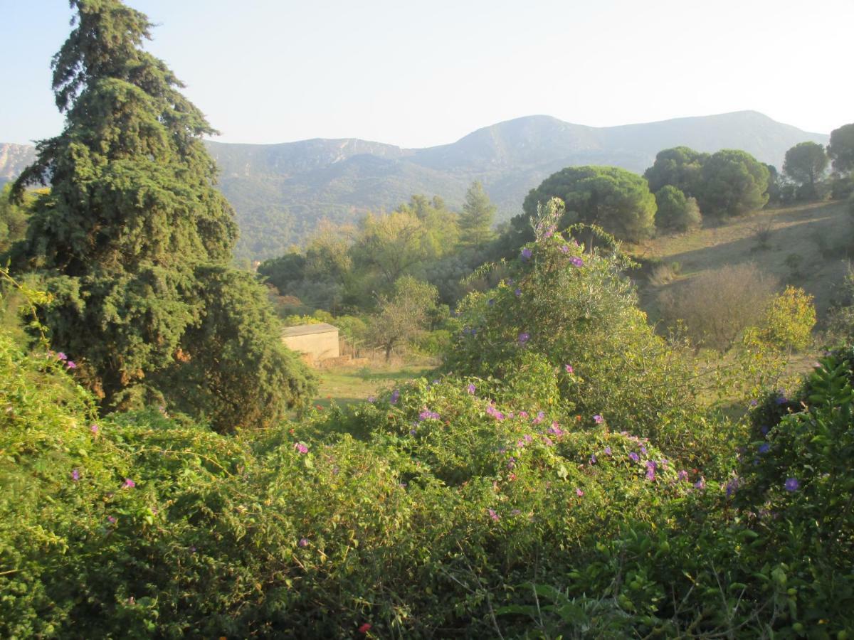 Coin De Paradis Quinta do Anjo Luaran gambar